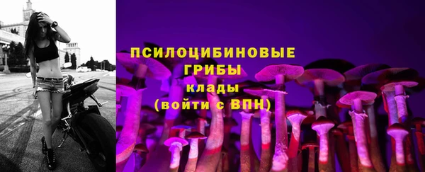 не бодяженный Абаза