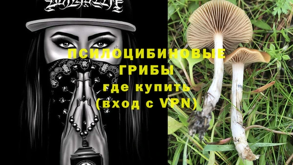 мдпв Новокубанск