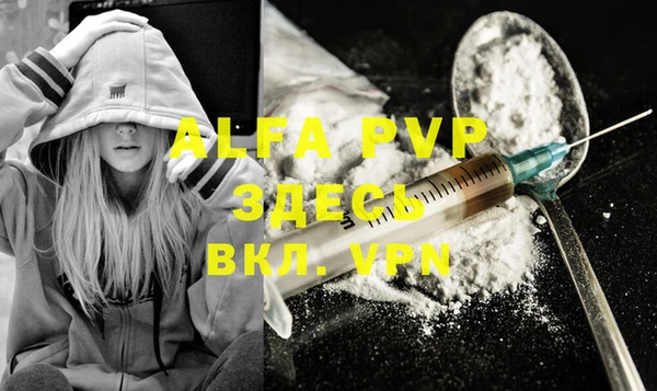 ALPHA PVP Новозыбков