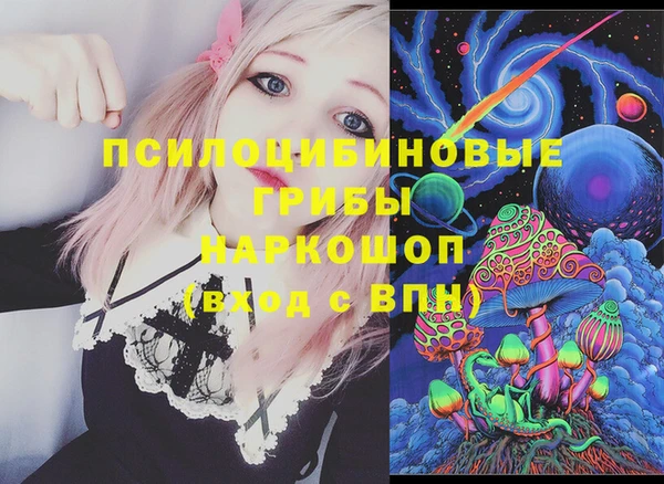 молекула духа Новодвинск
