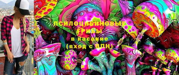 не бодяженный Абаза