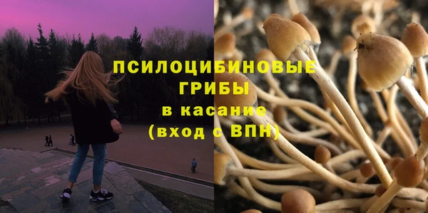 мдпв Новокубанск