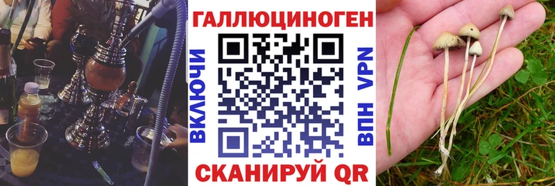 Галлюциногенные грибы Magic Shrooms  где продают   Ужур 